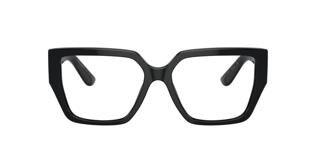 0DG3373__501__P21__noshad__fr