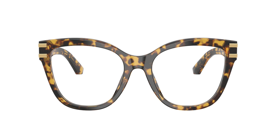 0DG3418__3330__P21__noshad__fr