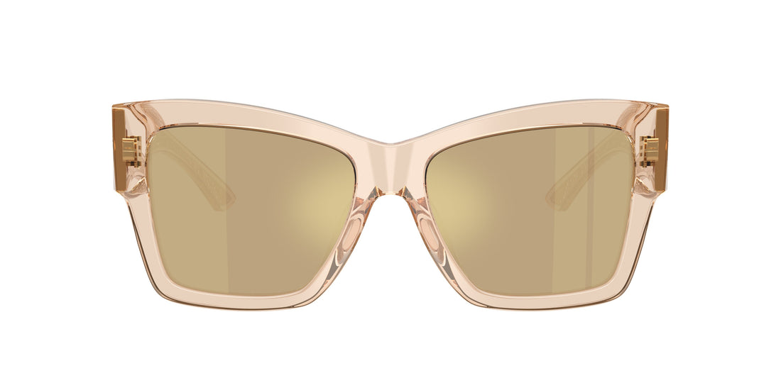 0DG4493__343203__P21__noshad__fr