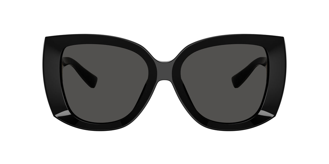 0DG4495__501_87__P21__noshad__fr