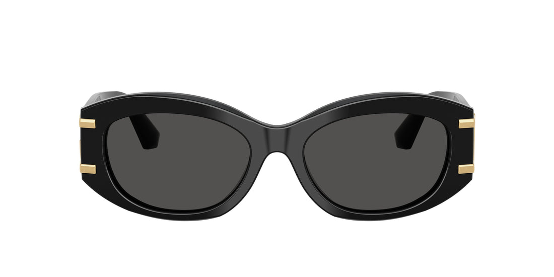 0DG4502__501_87__P21__noshad__fr