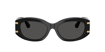 0DG4502__501_87__P21__noshad__fr