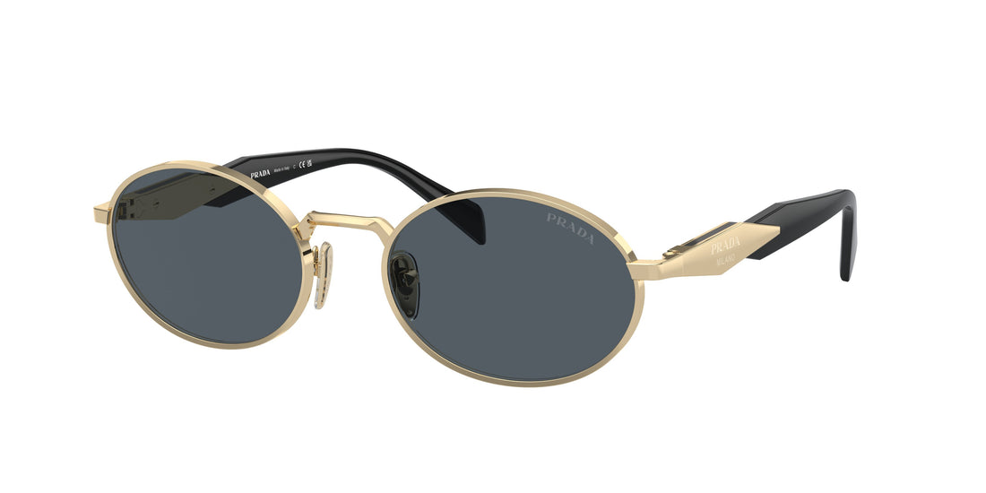 0PR_65ZS__ZVN09T__P21__noshad__fr[1]